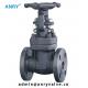 Forged A105 Body Wedge Rising Stem Gate Valve OS&Y Flanged RF