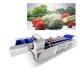 Ozone Vegetable Fruit Washing Machine 3T/H With Bubble Veg Cleaning Machine