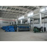 11000V Stationary / Land Diesel Gas Engine Power Plant CCS BV Certification