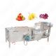 New Style Cleaner Food Factory Ultrasonic Fruit And Vegetable 40 Kg Washing Machine