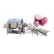 Automatic Onion Processing Line with Food Beverage Onion Peeling and Cutting Machine