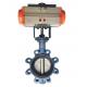 ODM Supported Lug Type Butterfly Valve with Customized Port Size and Safety Features