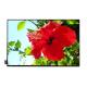 Mipi Interface 10.1 Inch IPS Lcd Display 1280x800 For Tablet