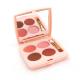 ODM Portable Matte Single Color Eyeshadow Palette For Beginners