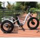 4.0 Inch Fat Tire Off Road Electric Bike For Adults 48V 10Ah Lithium Battery