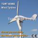 TGWT-600M 600W 12V/24V/48 wind turbine Three phase permanent magnet AC synchronous generator