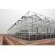 Double Layer Commercial Glass Greenhouse Side Wall Height 2.5-6m With Heating System