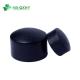 SDR13.6 HDPE Butt Welding PE Pipe Fitting Plastic Cap End Cap for Gas Supply Needs