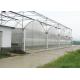 Vegetable Agriculture Polyethylene Film Greenhouse Great Space Efficient Performance