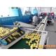 Easy Operation Lemon Juice Processing Line Machinery In Silver Color CFM-FD-200