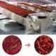 Consistent Drying Industrial Chilli Dryers With High Airflow Uniform Heat Distribution