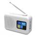 Youtong Small Size TFT Color Display Digital Radio with Aux Portable DAB/DAB FM Radio