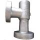 Precision Industrial Valve Body Casting CT4-8 Surface Passivation Customized Size