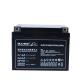 Leoch Battery Replacement DJW12-24s 12V24Ah Lead Acid Battery for Power Communication