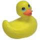 cute duck massager