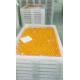 Anti High Temprature Plastic Drying Trays Pe Material For Drying Freezing Baking