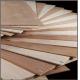 middle east  market bintangor plywood high quality