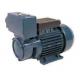 TPS -70 Series Domestic Electric Motor Water Pump 0.75HP/0.55KW