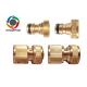 3/4 Female Threaded Brass Garden Tap Connector Faucet Nozzle Quick Connect Adapter
