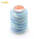30g 15ply Spun Polyester Thread for High Tenacity Rainbow Weaving Crafts from Supply