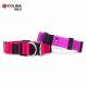 Adjustable Pet Nylon Dog Collars For Safety Double D Ring Fur Decoration