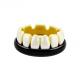 Experienced Craftsmanship The Backbone Of Our Ceramic Dental Crowns