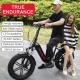 60km Aluminium Alloy 21 Speed Electric Bike Double Disc Brake