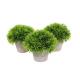 Plastic PE Small Artificial Potted Greenery Support OEM ODM
