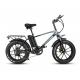 18Ah Lithium Battery Electric Hybrid Bike 750W 20 Inch Fat Tire Mountain Ebike For Adult