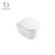 Modern Rimless Wall Mounted Toilet Bowl Western Bathroom Commode Customized
