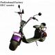 EcoRider 2 wheel electric scooter 1500w brushless hub motor with big fat tire and EEC certificate