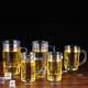 Solid Color Plastic Beer Glasses Traditional Beer Mug With Handle