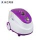 Handheld Steamer To Remove Wrinkles Automatic Shut Off With Double Safety System