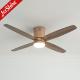 Smart LED Ceiling Fan With Silent Dc Motor Flush Mounted High Speed