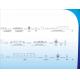Professional Glass Slab Cutting Cookware Production Line For Precision Glass Cover Making
