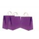 12 * 16 * 6 Inches Custom Kraft Paper Bags , Purple Paper Bags With Handles