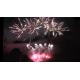 Liuyang 56 Shots Professional Fireworks Display 1.3g Un0335 For Festival Celebration