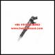 BOSCH Genuine and new injector 0445110130 ,0 445 110 130,0986435096,13537789573 fit Land Rover Freelander