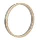 Speedfam NTS Alumina Ceramic Ring High Hardness Grinding Ring