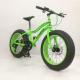 Private Label Snow Sand 4.0 Fat Tyre Electric Bicycle