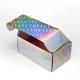 Custom E-Commerce Packaging Holographic Corrugated Mailing Box