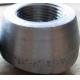 ANSI/ASME Stainless Steel Carbon Steel Threadolet Customizable Sizes & Material  Industrial Grade