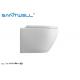 Nano Glaze Dual Flush Wall Mounted WC One Piece Concealed Cistern White Color