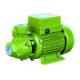 65l / Min Cast Iron Electric Water Transfer Pump Peripheral 0.75 Hp Water Pump