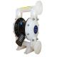 Petrochemistry Acid Diaphragm Pump / Chemical Twin Diaphragm Pump 1 Inch