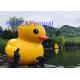 Pvc Outdoor Inflatable Advertising Balloon Decorations Custom 210T Polyester