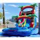 Water Inflatable Slide Jumping Slide Party Pvc 18ft Dolphin Water Slide For Pool
