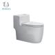 Export Standard Ceramic One Piece Toilet Bowl Exquisite Appearence