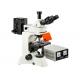 Upright Trinocular Epi-fluorescent Microscope with Bright Field Observation