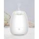 Home Appliance 100ml Ultrasonic Aroma Diffuser And Humidifier